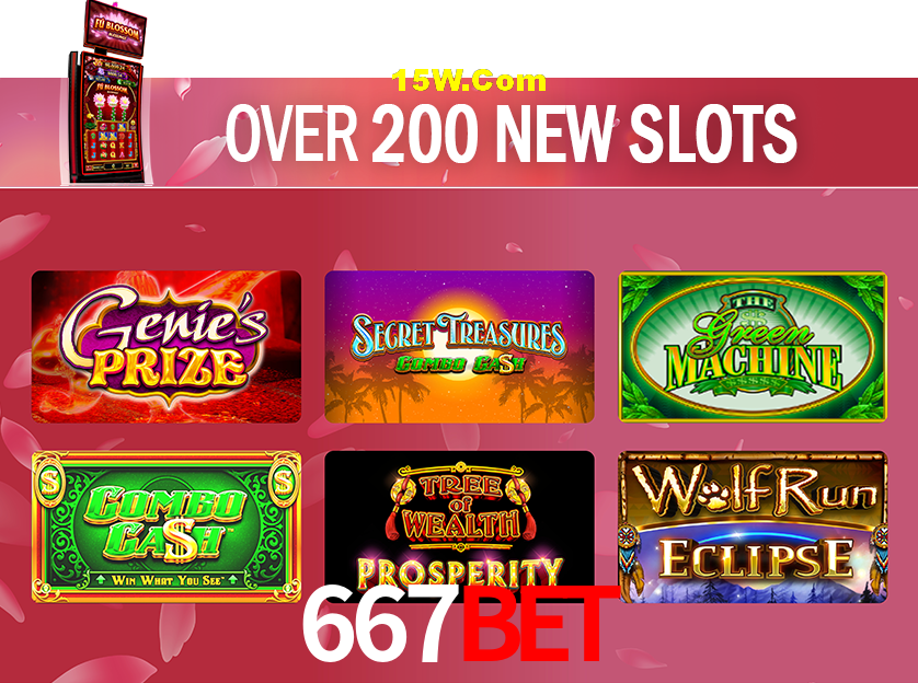 Account Benefits 667Bet